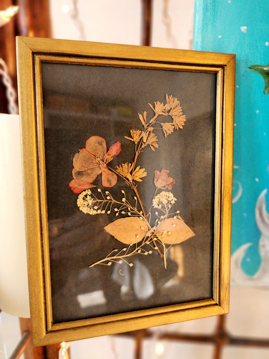 Vintage Pressed Flower Art